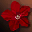 Hanellin's Red Flower