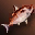 Large Red Nimble Fish - Upper Grade